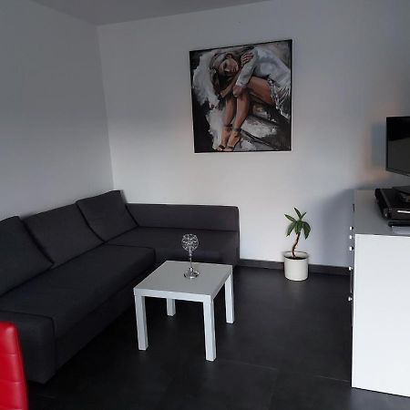 Several Different Rooms, Newly Furnished, In A New House In Vichten エクステリア 写真